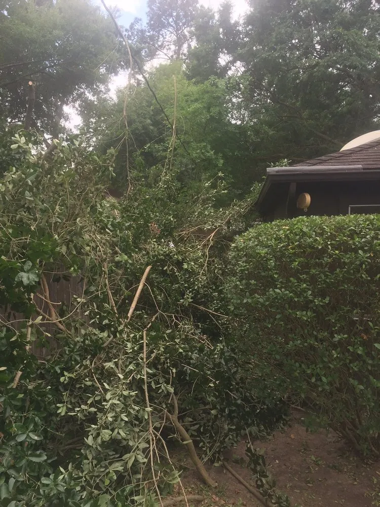 Professional landscaping services for homes in Houston, TX by Fall Landscape