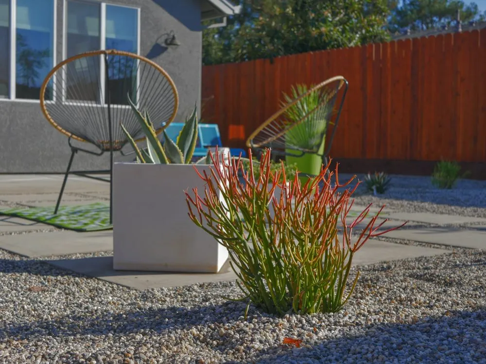 Affordable landscape design in Fair Oaks, CA by Fallen Leaf Construction