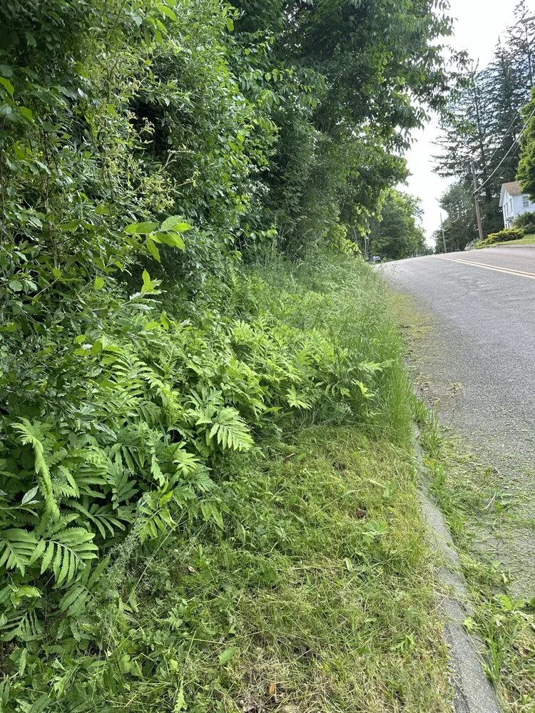 Reliable landscape design for outdoor upgrades in Coventry, CT by Falleti Services