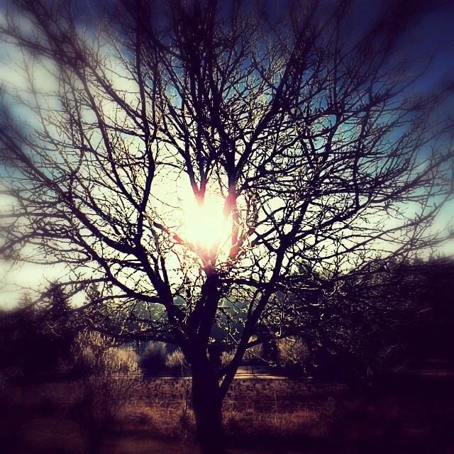 Expert landscape installation in Camas, WA - Fallin Leaf Landscape Maintenance