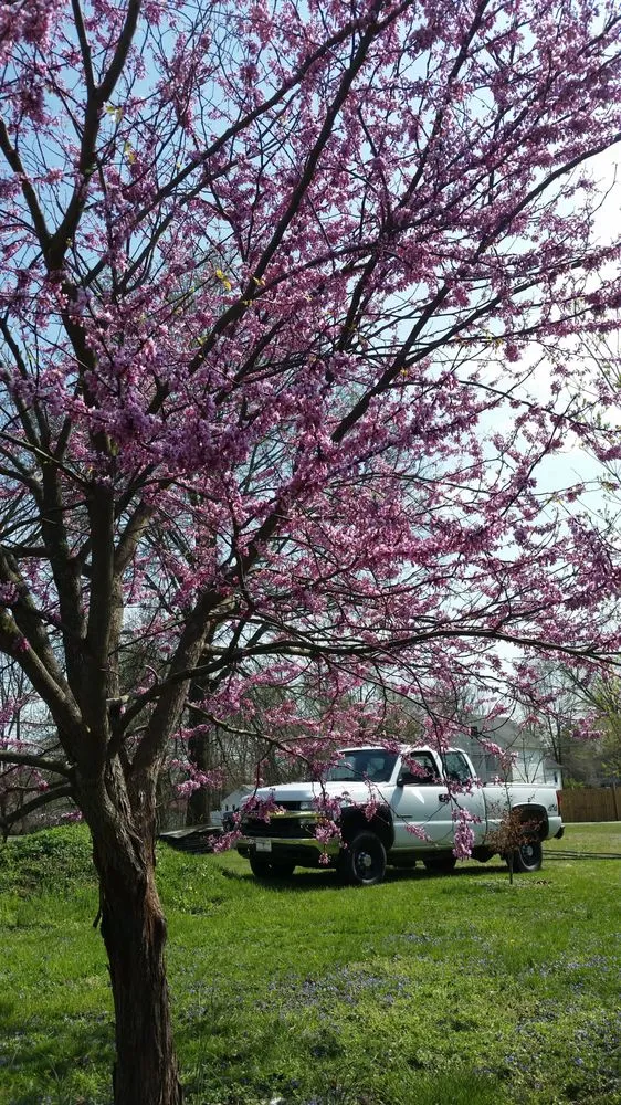 Reliable lawn care service in Garnerville, NY by Falling Branch Lawncare & Landscaping