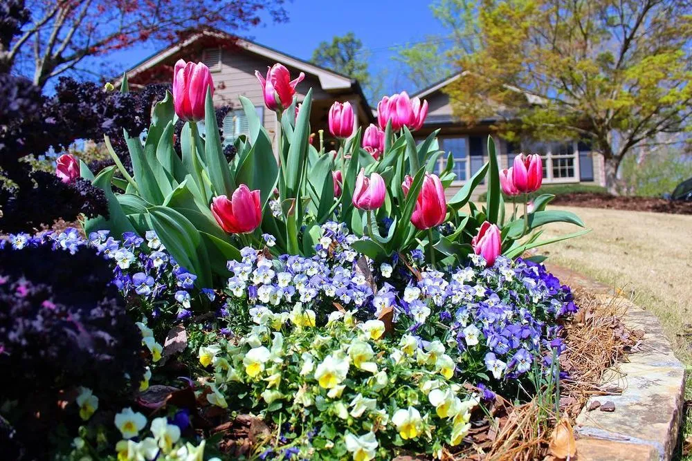 Local outdoor landscaping experts serving Tucker, GA - Falling Leaves