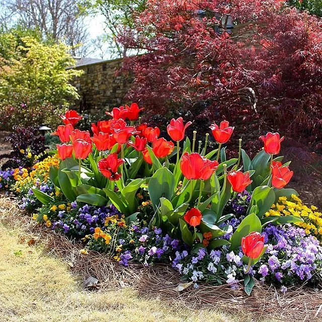 Professional yard cleanup service in Tucker, GA - Falling Leaves