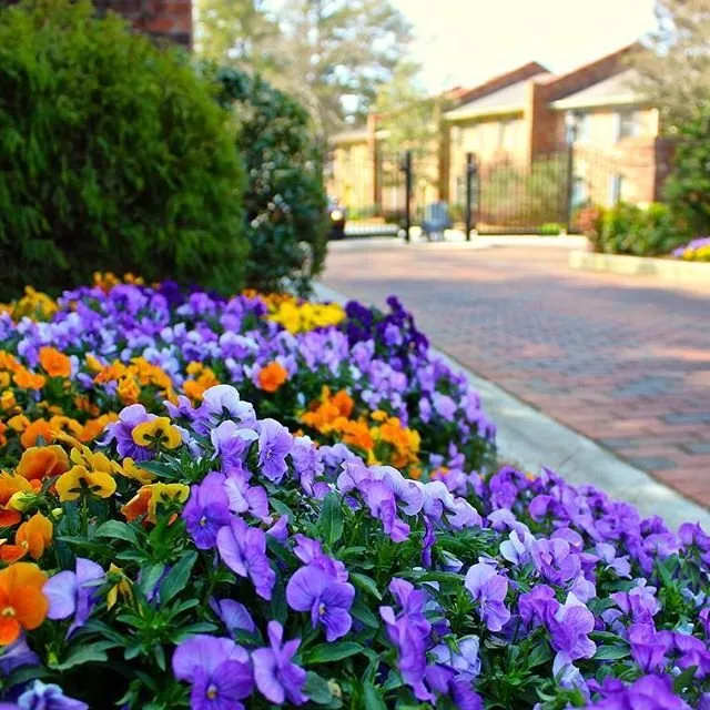 Custom garden landscaping with custom design in Tucker, GA by Falling Leaves