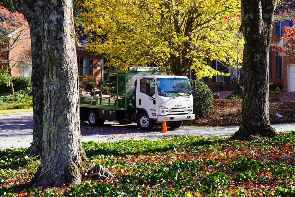 Affordable outdoor landscaping in Tucker, GA by Falling Leaves