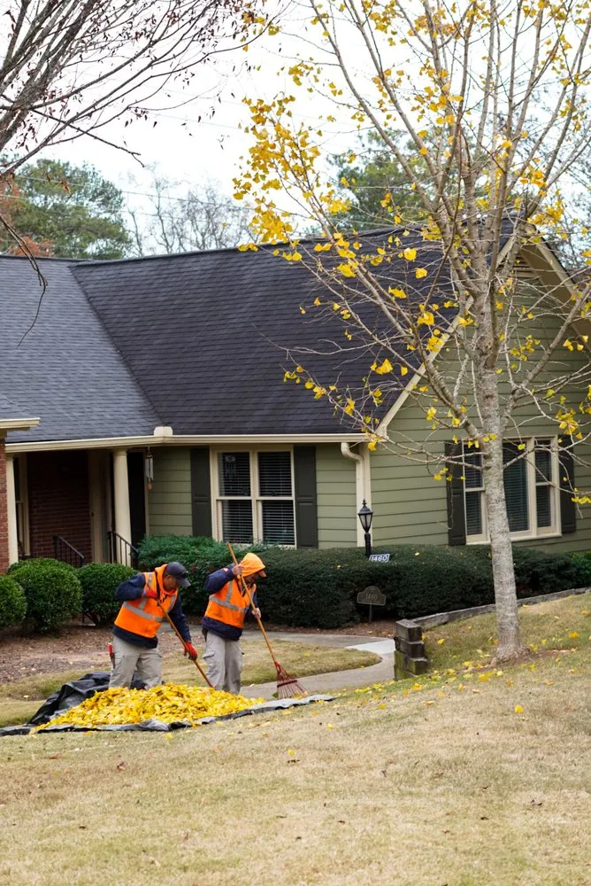 Professional yard cleanup service in Tucker, GA - Falling Leaves