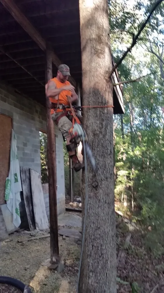 Local yard maintenance experts serving Portland, TN - Falling Timbers Tree Service