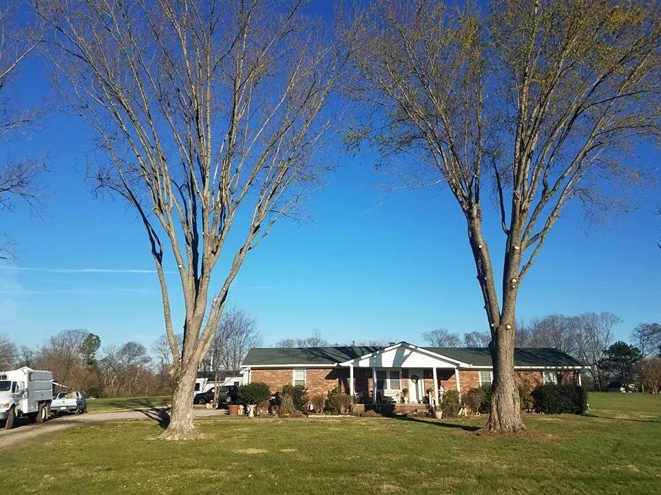 Professional landscape installation in Portland, TN - Falling Timbers Tree Service
