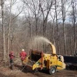 Reliable yard maintenance for year-round maintenance in Portland, TN by Falling Timbers Tree Service
