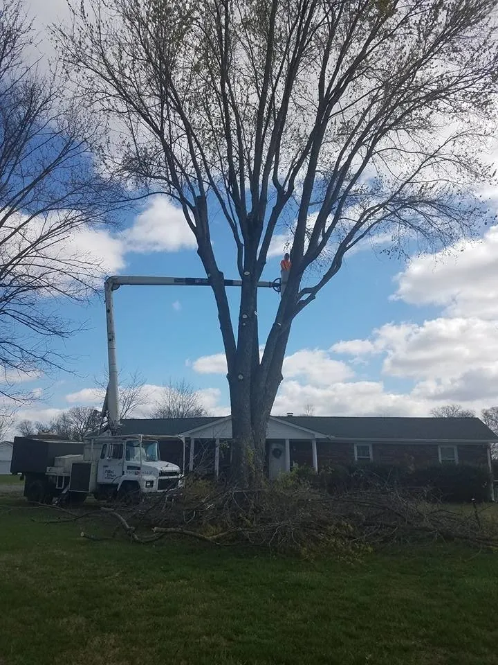 Trusted residential landscaping with custom design in Portland, TN by Falling Timbers Tree Service