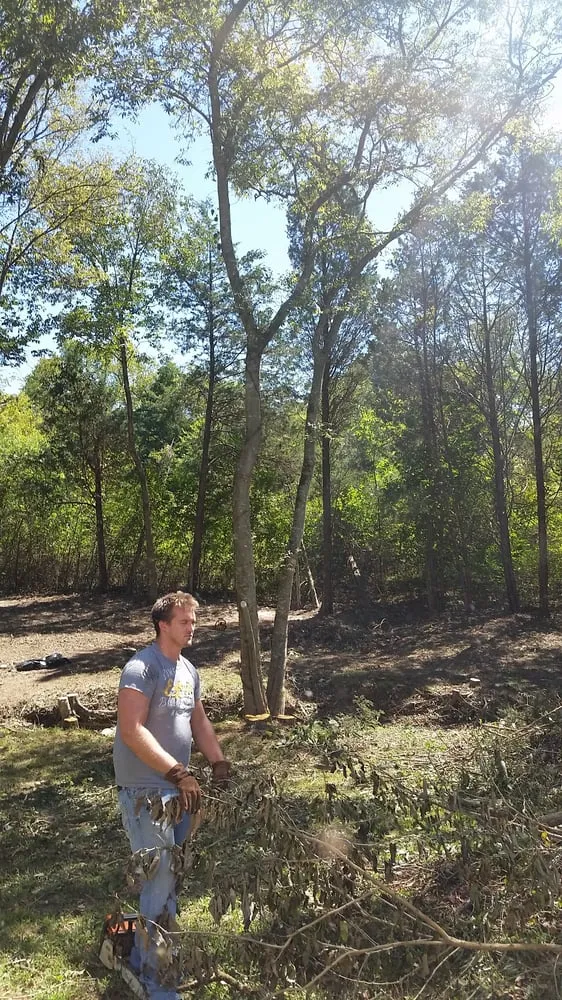 Local lawn mowing service for outdoor upgrades in Portland, TN by Falling Timbers Tree Service