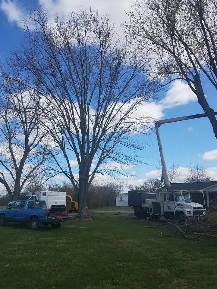Trusted yard maintenance experts serving Portland, TN - Falling Timbers Tree Service
