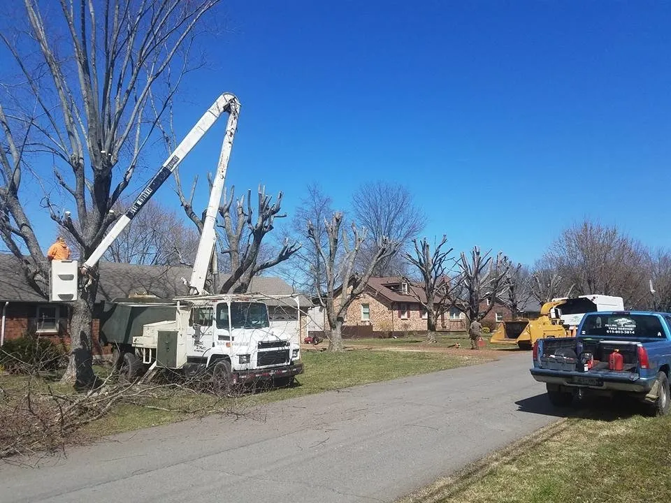 Expert outdoor landscaping in Portland, TN - Falling Timbers Tree Service