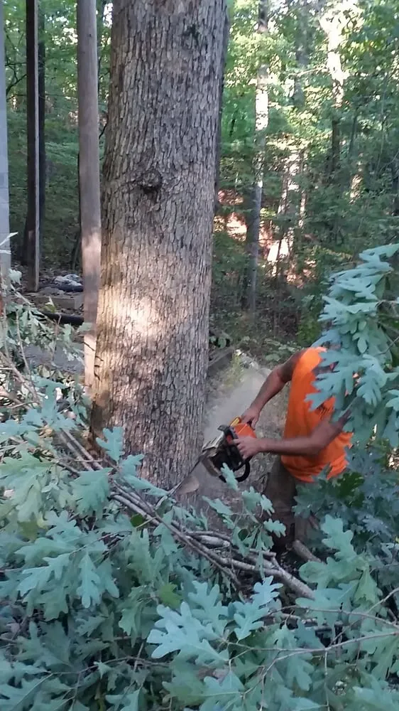 Expert landscape installation near you across Portland, TN - Falling Timbers Tree Service