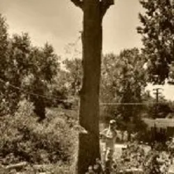 Custom yard maintenance near you across Portland, TN - Falling Timbers Tree Service