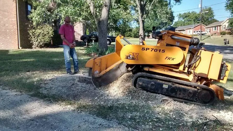 Custom landscape design experts serving Portland, TN - Falling Timbers Tree Service