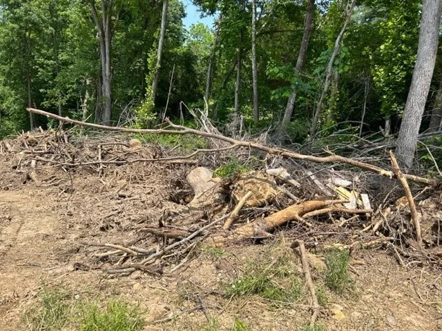 Professional landscape installation experts serving Portland, TN - Falling Timbers Tree Service