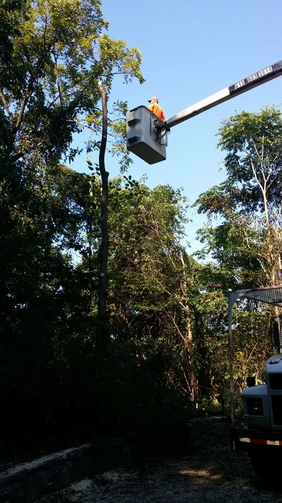 Top-rated lawn mowing service in Portland, TN by Falling Timbers Tree Service