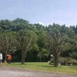 Expert landscape design experts serving Portland, TN - Falling Timbers Tree Service