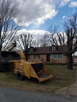 Falling Timbers Tree Service