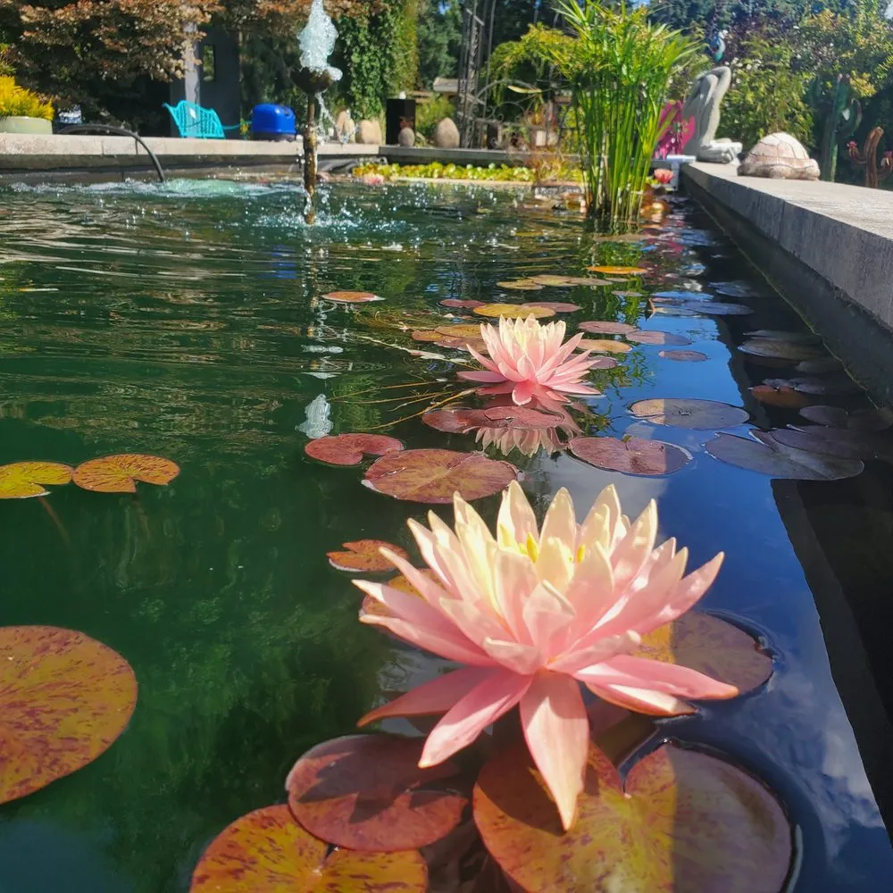 Reliable yard cleanup service near you in Monroe, WA by Falling Water Gardens