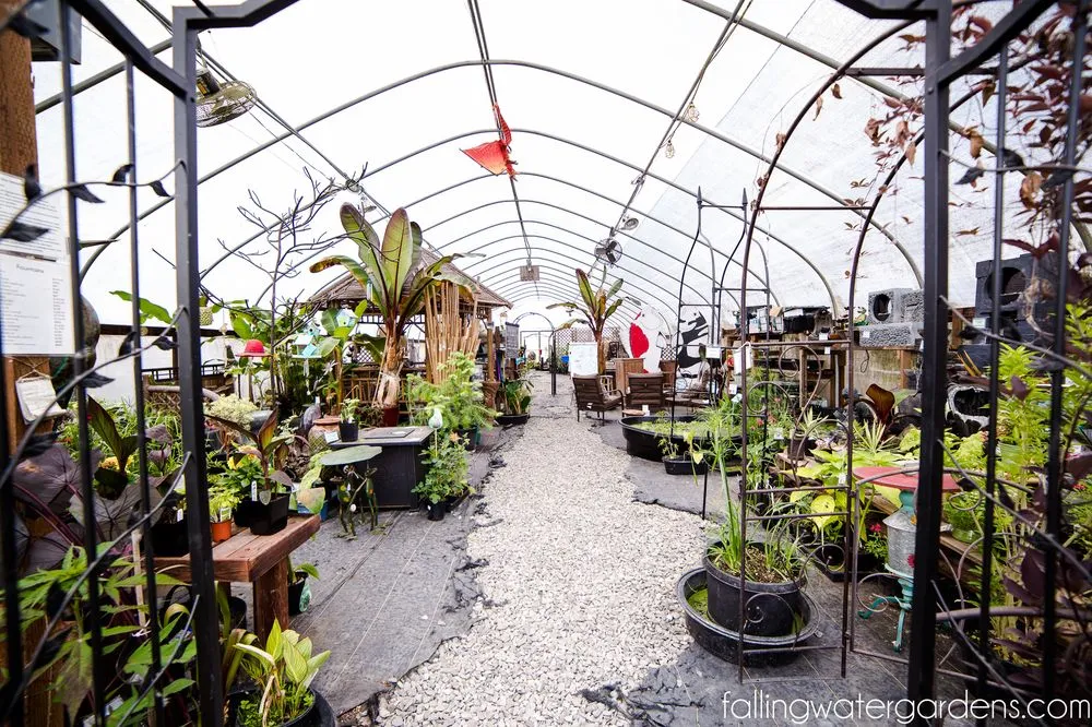 Expert yard maintenance with custom design across Monroe, WA - Falling Water Gardens