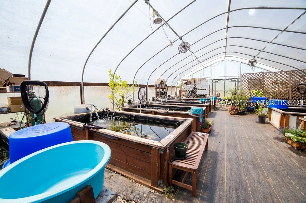 Custom landscaping services experts serving Monroe, WA - Falling Water Gardens