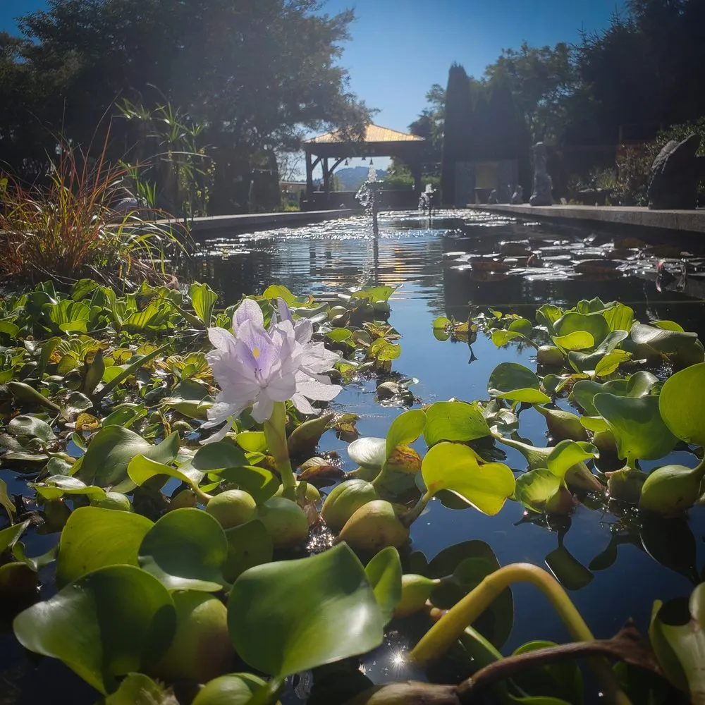 Custom landscape design in Monroe, WA - Falling Water Gardens
