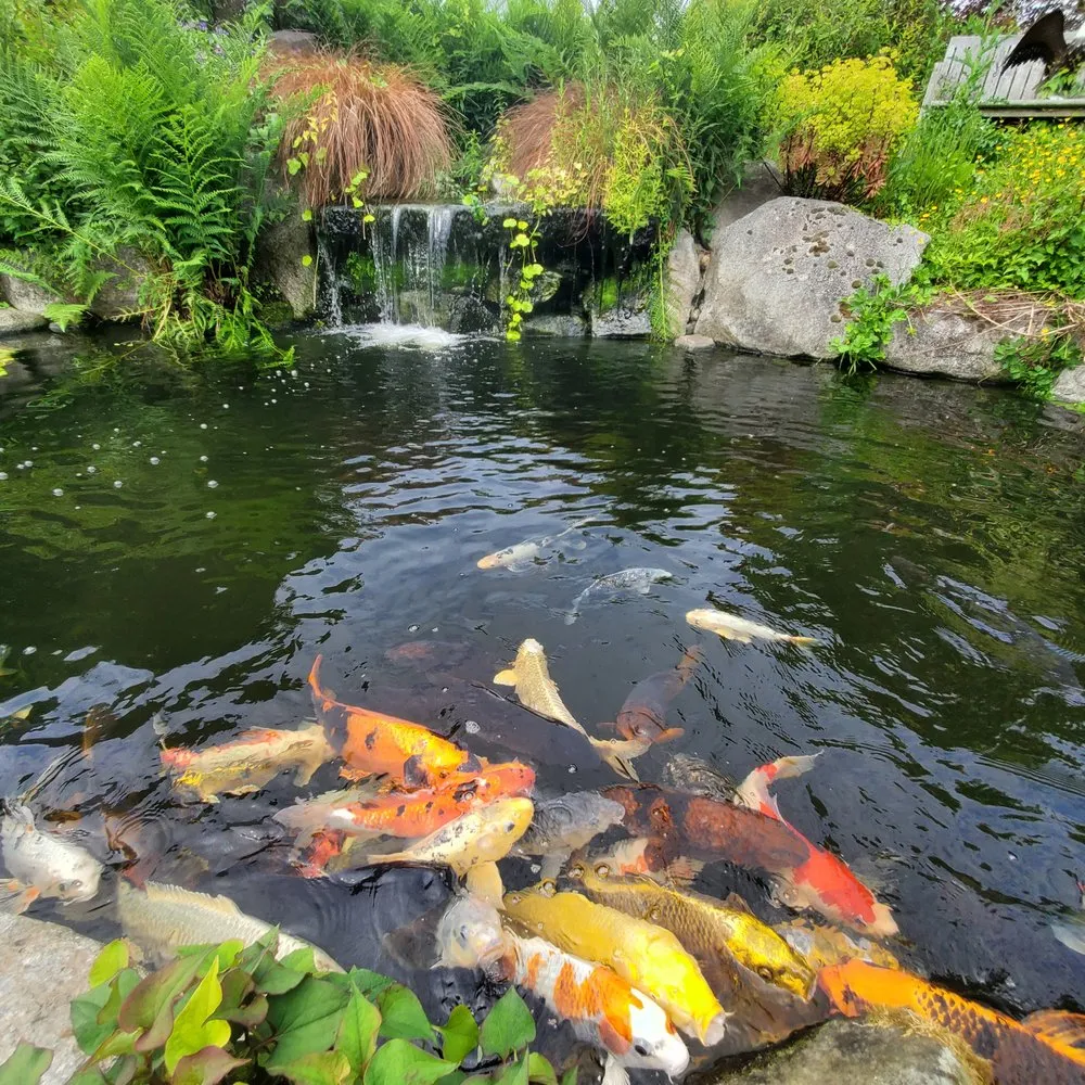 Professional outdoor landscaping in Monroe, WA - Falling Water Gardens
