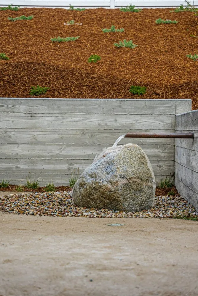 Local yard maintenance in Solana Beach, CA - Falling Waters Landscape