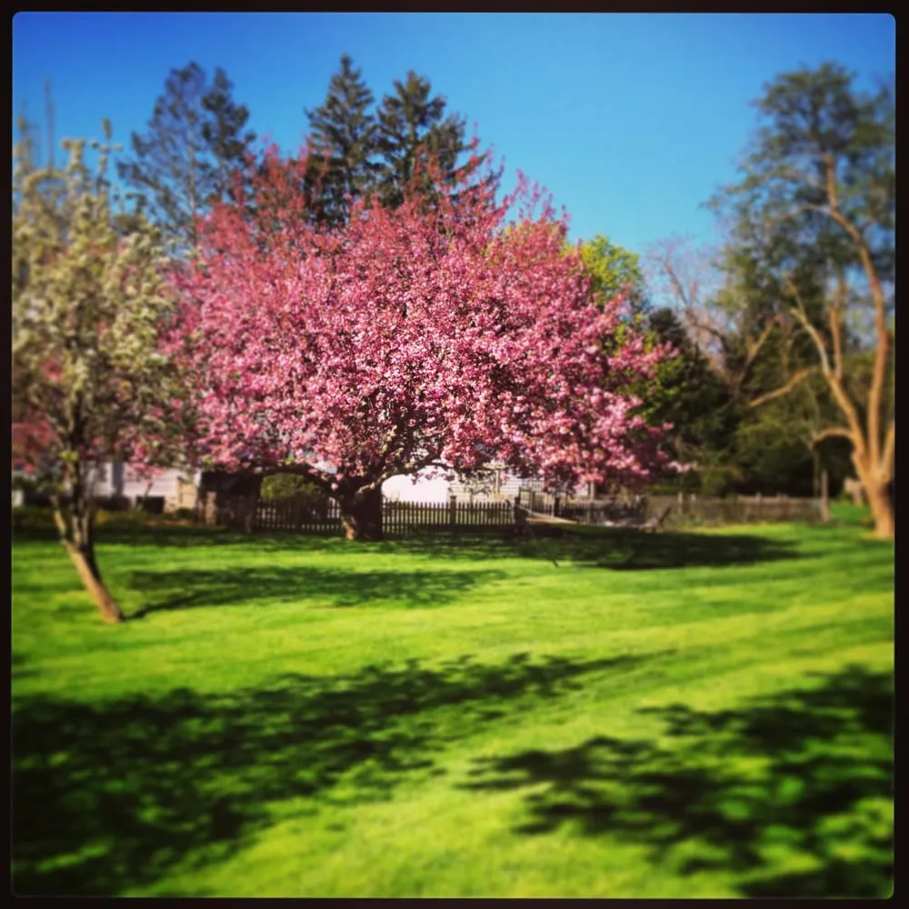 Affordable landscape installation experts serving Westport, CT - Falling Waters Landscaping, LLC