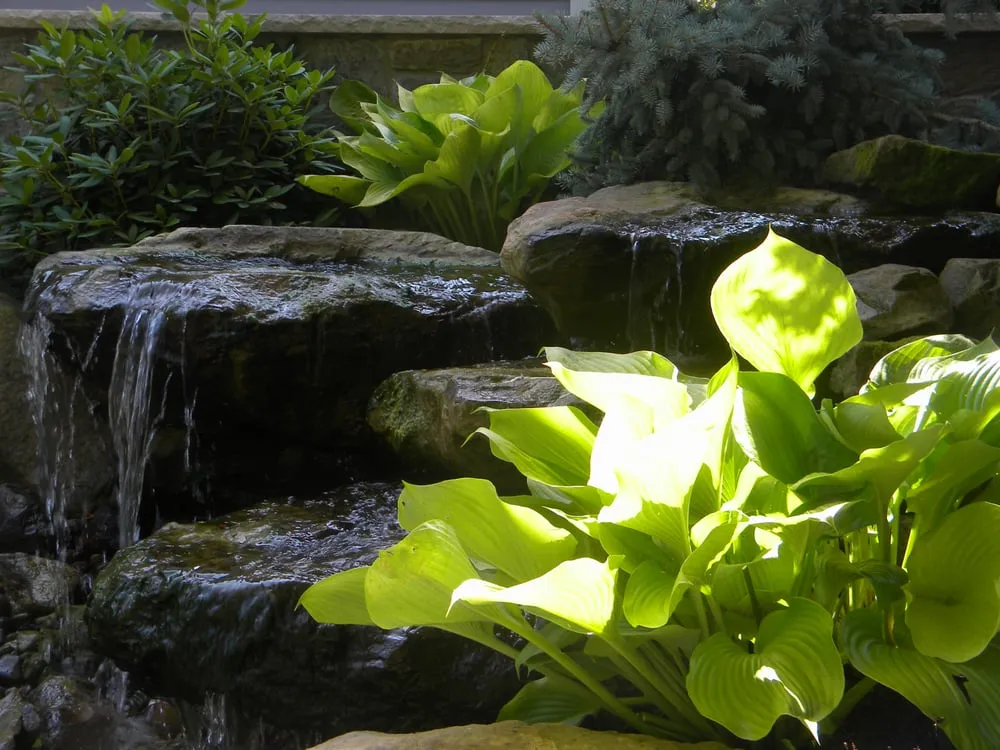 Custom yard cleanup service near you in Sheffield Village, OH by Falling Waters Ohio