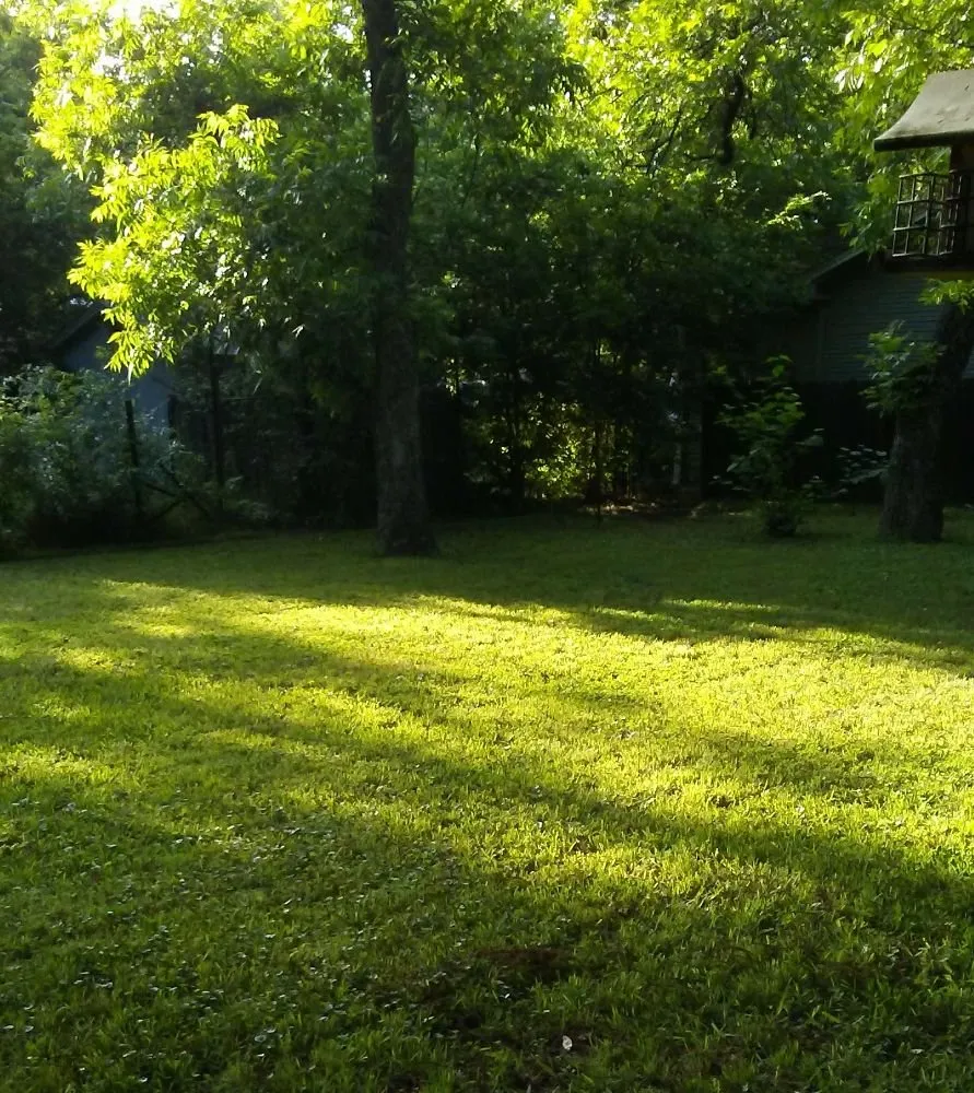 Reliable yard maintenance with custom design across Wichita Falls, TX - Falls Home Services