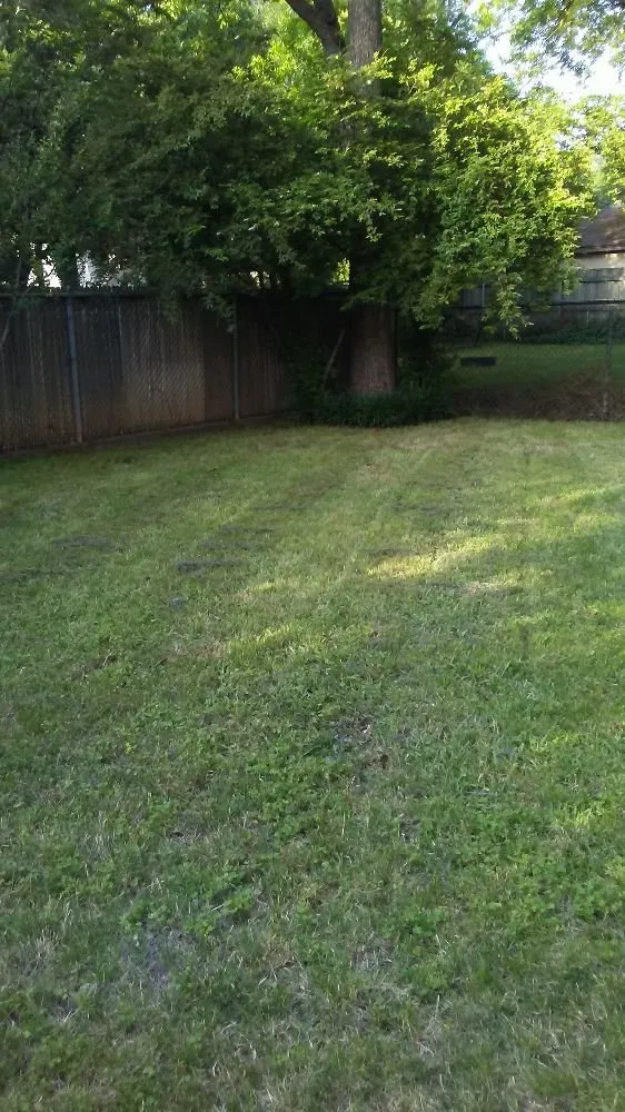 Local yard maintenance experts serving Wichita Falls, TX - Falls Home Services