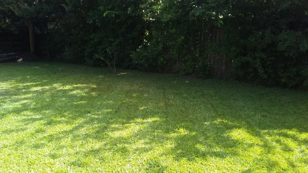 Trusted landscape installation in Wichita Falls, TX by Falls Home Services