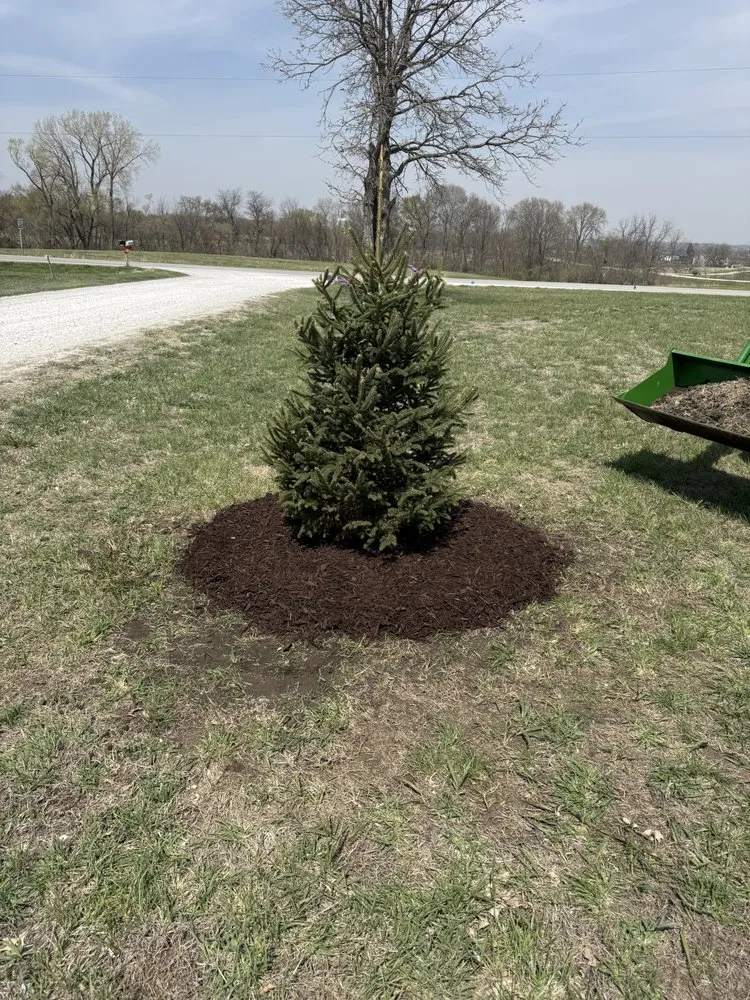 Expert yard cleanup service with custom design across Mitchellville, IA - Fall’s Lawn & Snow