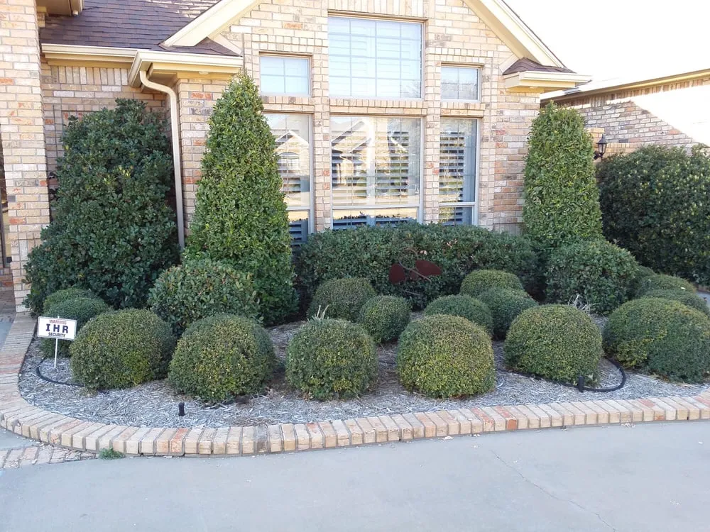 Custom lawn care service experts serving Wichita Falls, TX - Falls Turf & Ornamental