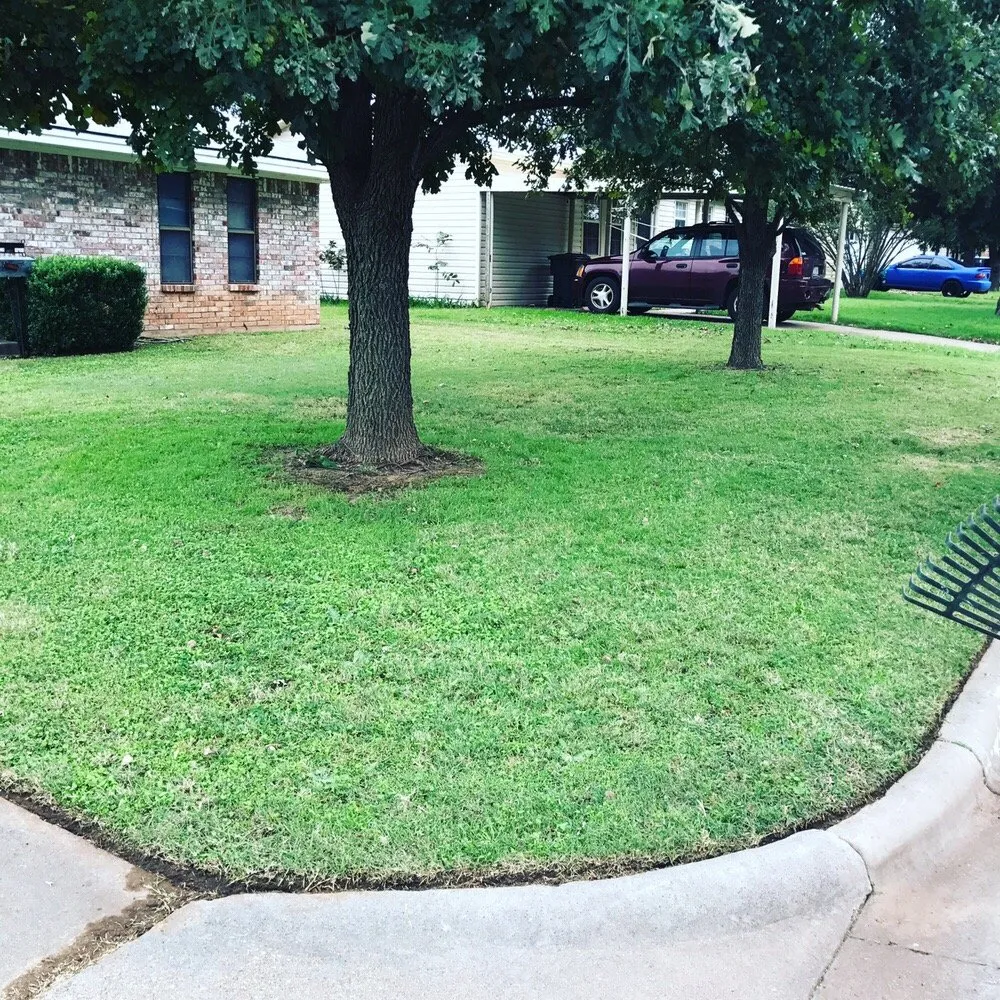 Affordable landscape design in Wichita Falls, TX by Falls Turf & Ornamental