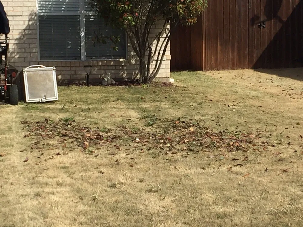 Local yard maintenance for year-round maintenance across Wichita Falls, TX - Falls Turf & Ornamental