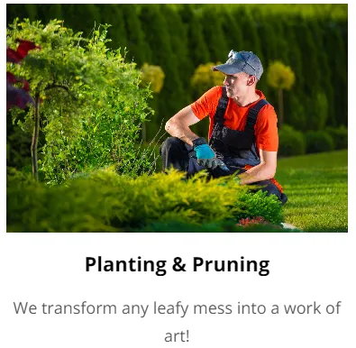 Affordable lawn care service in Falmouth, MA - Falmouth Landscapers