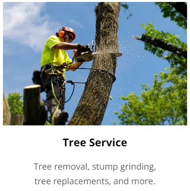 Affordable landscape installation for year-round maintenance in Falmouth, MA by Falmouth Landscapers