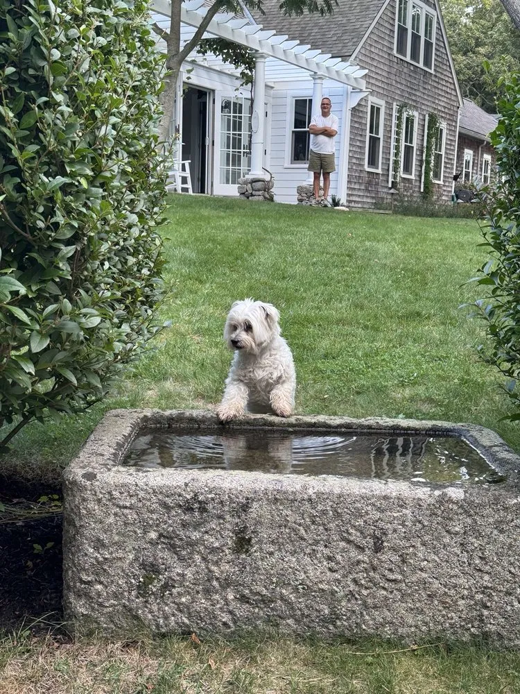 Professional yard cleanup service for homes across Falmouth, MA - Falmouth Landscaping