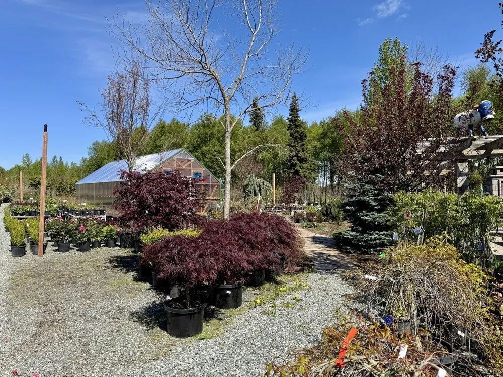 Trusted landscape design in Anchorage, AK - Faltz Landscaping & Nursery