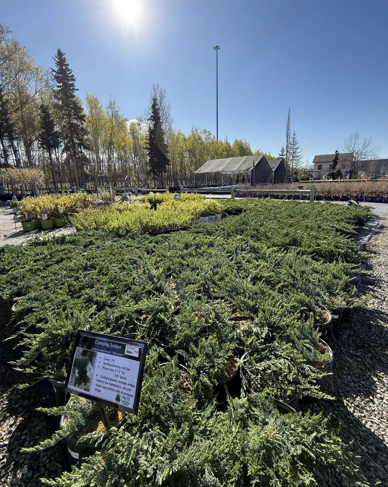 Local yard maintenance for residential properties across Anchorage, AK - Faltz Landscaping & Nursery