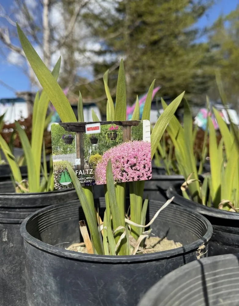 Trusted landscape installation in Anchorage, AK by Faltz Landscaping & Nursery