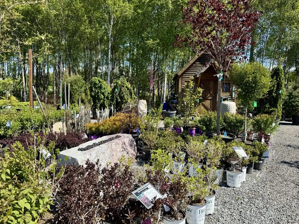 Trusted lawn care service with custom design in Anchorage, AK by Faltz Landscaping & Nursery