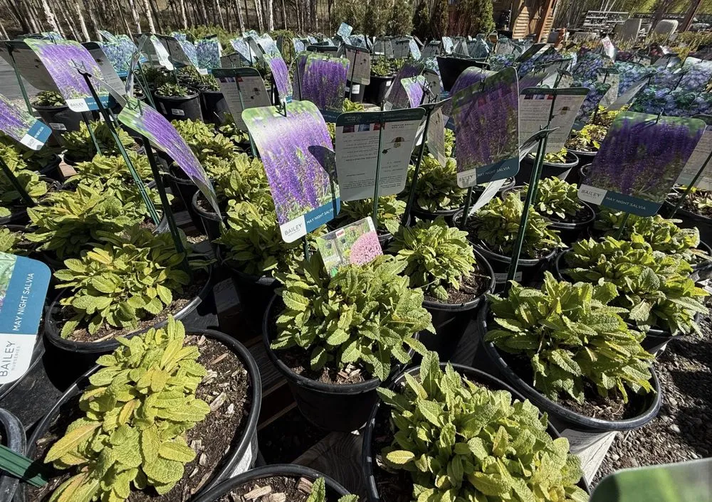 Top-rated yard maintenance for year-round maintenance in Anchorage, AK by Faltz Landscaping & Nursery