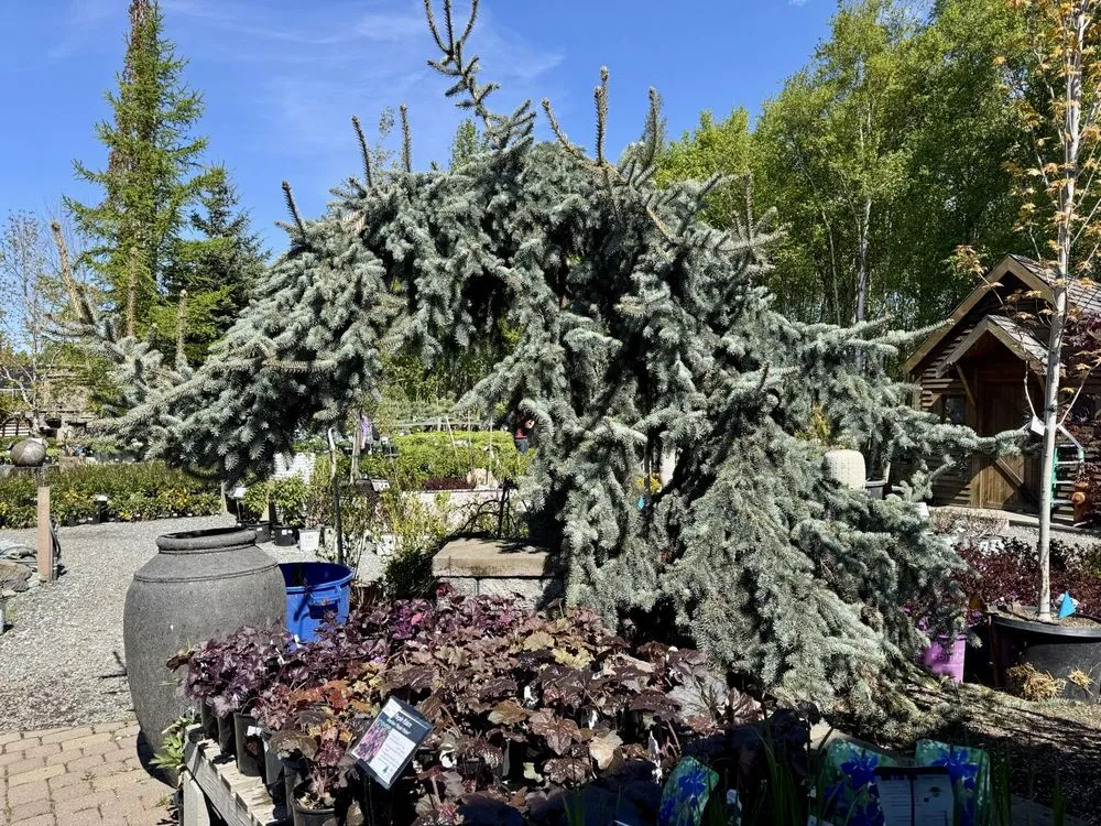 Custom landscaping services for residential properties across Anchorage, AK - Faltz Landscaping & Nursery