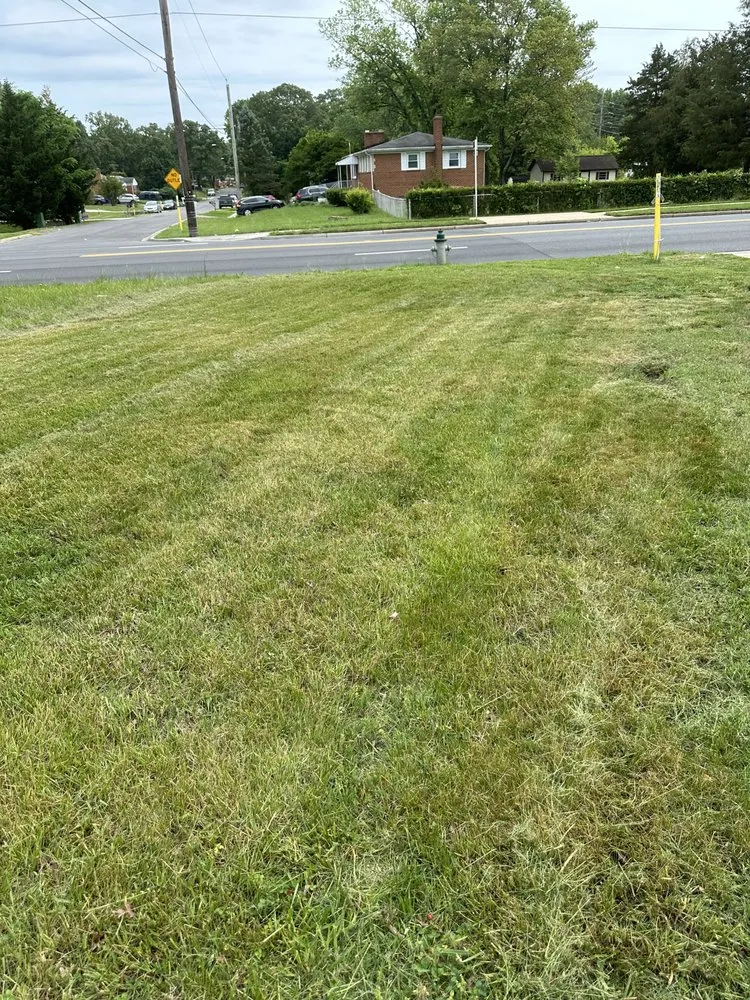 Professional outdoor landscaping for residential properties across Fort Washington, MD - Fam Jones