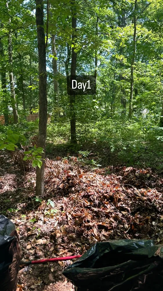 Top-rated residential landscaping experts serving Fort Washington, MD - Fam Jones